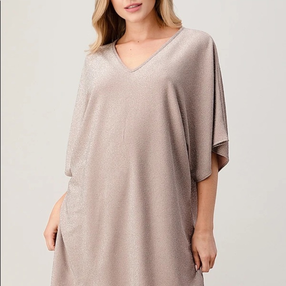 Perfect Holiday Party Dress! Shimmer and Shine! - Picture 7 of 8